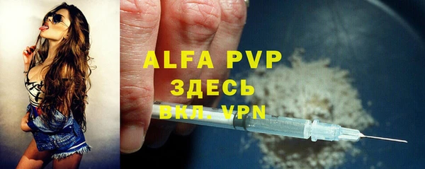 mix Богородицк