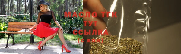 mix Богородицк