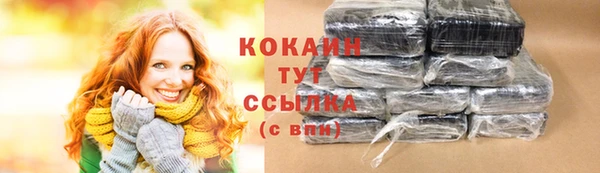 mix Богородицк