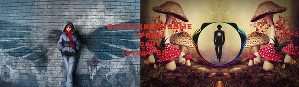 mdpv Белоозёрский